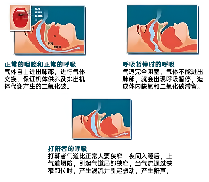 微信图片_20241126142154.png