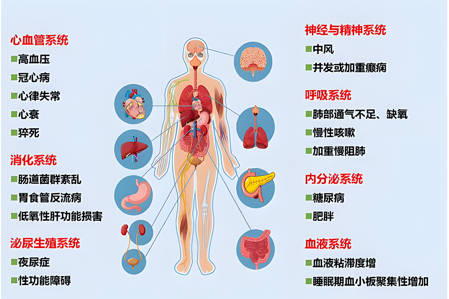 微信图片_20241126142157.png
