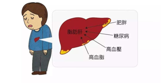 微信图片_20241126145549.png