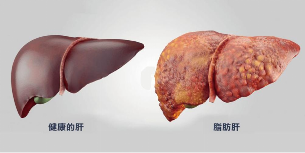 微信图片_20241126145553.png