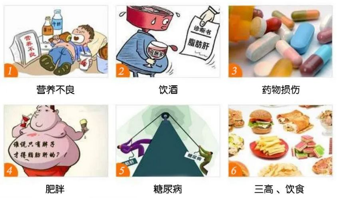 微信图片_20241126145559.png