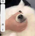 微信图片_20241226164746.png