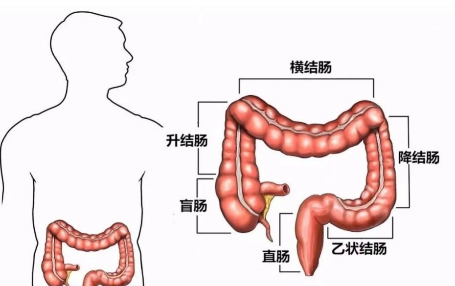 微信截图_20250117162731.png