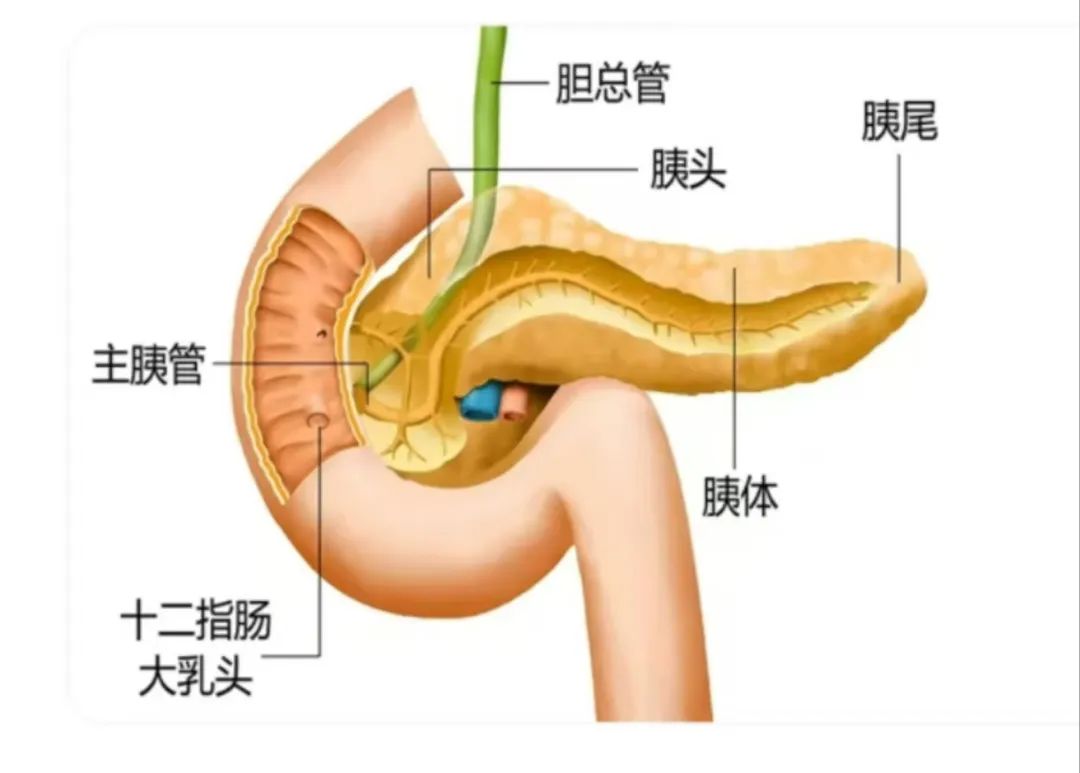 微信图片_20250211083657.jpg