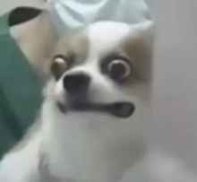 微信图片_20250408144003.png