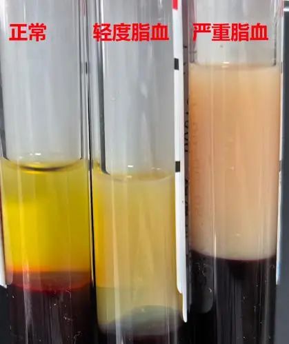 微信图片_20250408150547.jpg