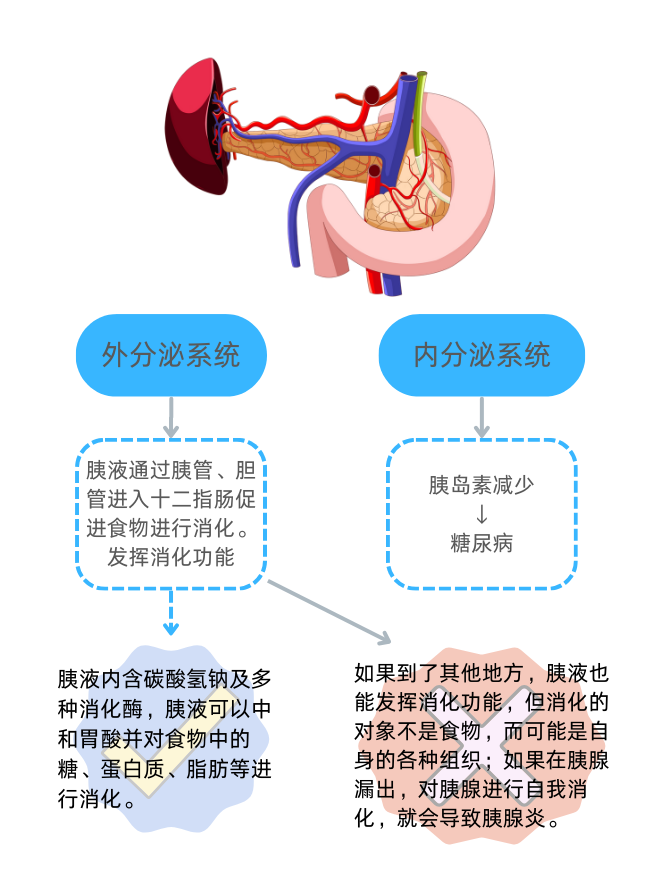 微信图片_20250408151350.png